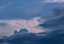 Dlaczego gelenda? Dlaczego gelenda?