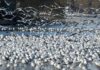 Czy Działki budowlane będą drożeć 2023? Czy Działki budowlane będą drożeć 2023?