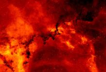 Czy sygnały służb się różnią? Czy sygnały służb się różnią?