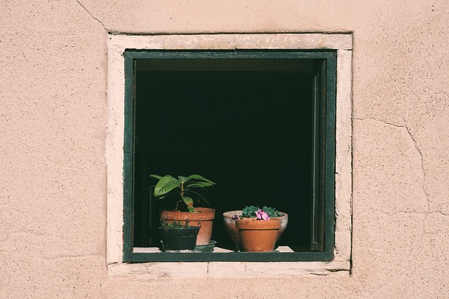 Jak często Podlewać bonsai zima? Jak często Podlewać bonsai zima?