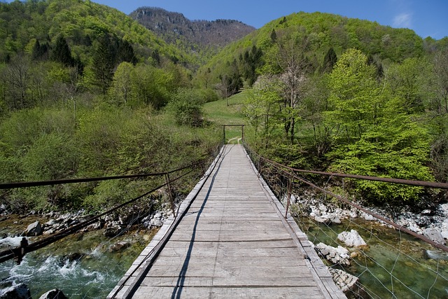 Ile kosztuje skrócenie drzwi? Ile kosztuje skrócenie drzwi?