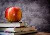 Ile kosztuje G Klasa 2023? Ile kosztuje G Klasa 2023?